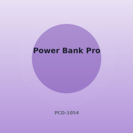 Batterie externe Pro